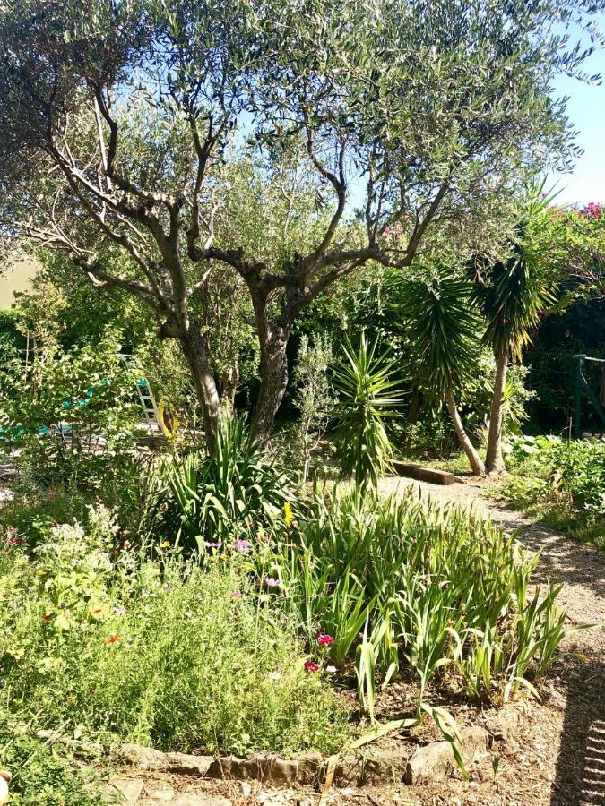 Appartement Les Pinsons à La Ciotat Extérieur photo